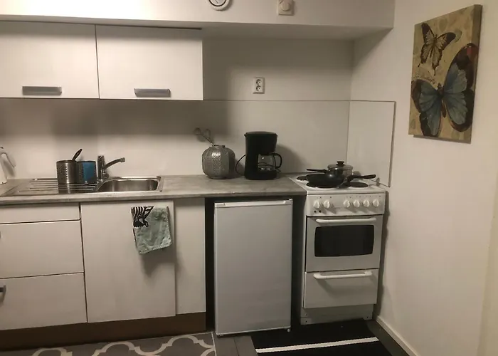 Puutaloyksioe 1 Km Turun Rautatieasemalta Διαμέρισμα Τούρκου