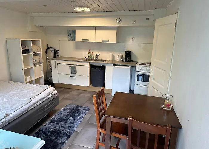 Puutaloyksioe 1 Km Turun Rautatieasemalta Διαμέρισμα Τούρκου